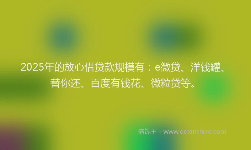 2025年的放心借贷款规模有：e微贷、洋钱罐、替你还、百度有钱花、微粒贷等。