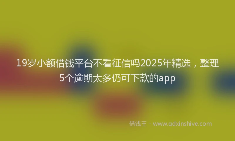 19岁小额借钱平台不看征信吗2025年精选，整理5个逾期太多仍可下款的app