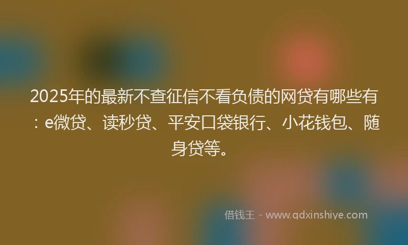 2025年的最新不查征信不看负债的网贷有哪些有：e微贷、读秒贷、平安口袋银行、小花钱包、随身贷等。