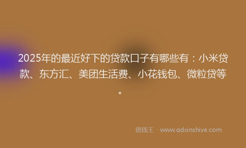 2025年的最近好下的贷款口子有哪些有：小米贷款、东方汇、美团生活费、小花钱包、微粒贷等。