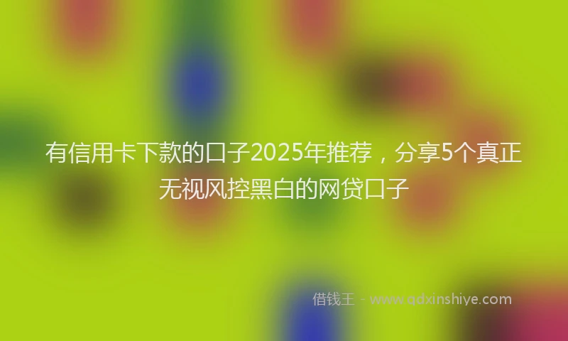 有信用卡下款的口子2025年推荐，分享5个真正无视风控黑白的网贷口子