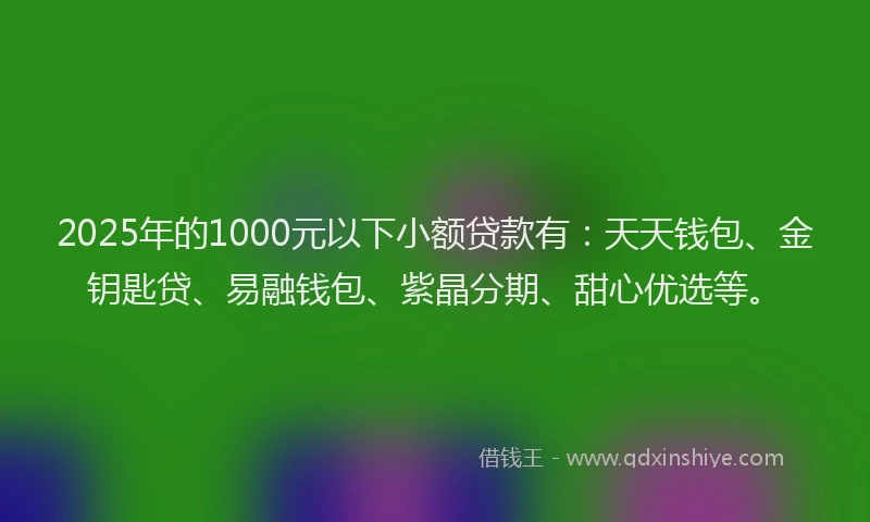 2025年的1000元以下小额贷款有：天天钱包、金钥匙贷、易融钱包、紫晶分期、甜心优选等。