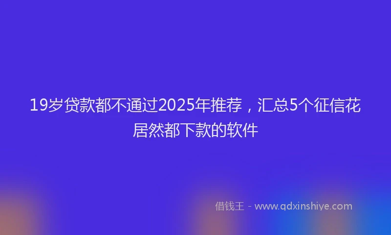 19岁贷款都不通过2025年推荐，汇总5个征信花居然都下款的软件