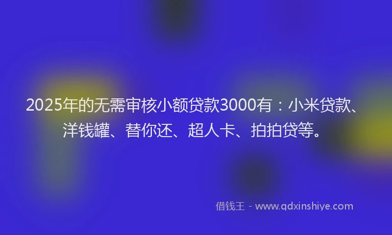 2025年的无需审核小额贷款3000有：小米贷款、洋钱罐、替你还、超人卡、拍拍贷等。