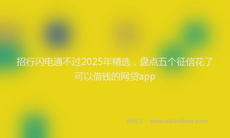 招行闪电通不过2025年精选，盘点五个征信花了可以借钱的网贷app