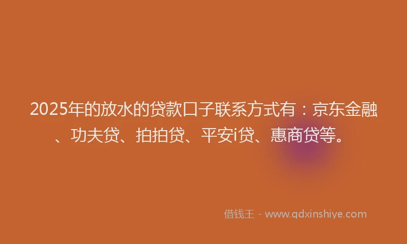 2025年的放水的贷款口子联系方式有：京东金融、功夫贷、拍拍贷、平安i贷、惠商贷等。