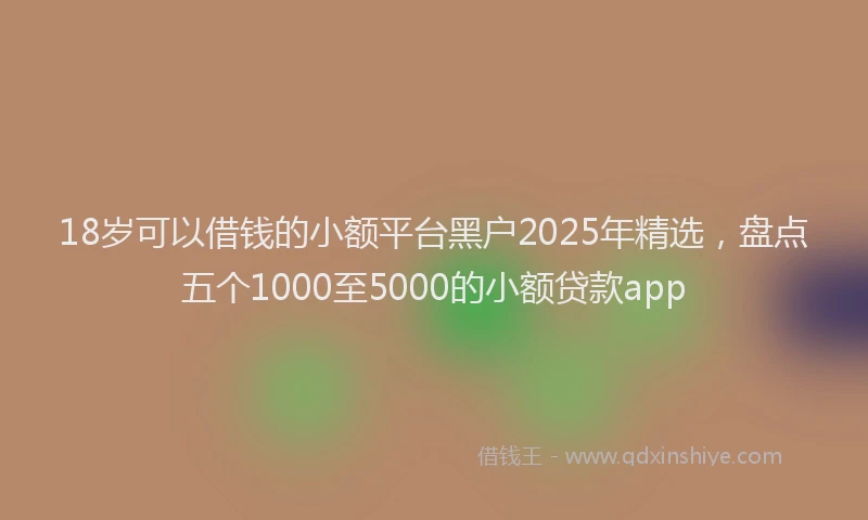 18岁可以借钱的小额平台黑户2025年精选，盘点五个1000至5000的小额贷款app