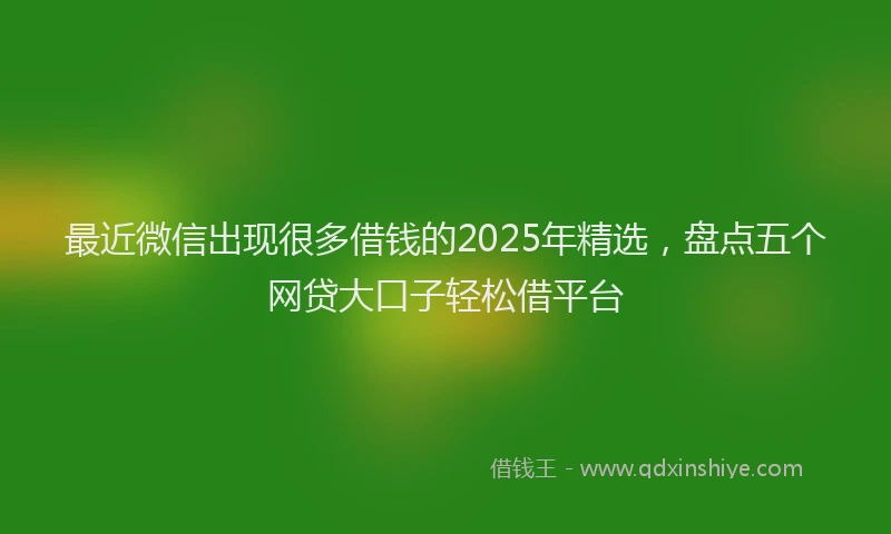 最近微信出现很多借钱的2025年精选，盘点五个网贷大口子轻松借平台