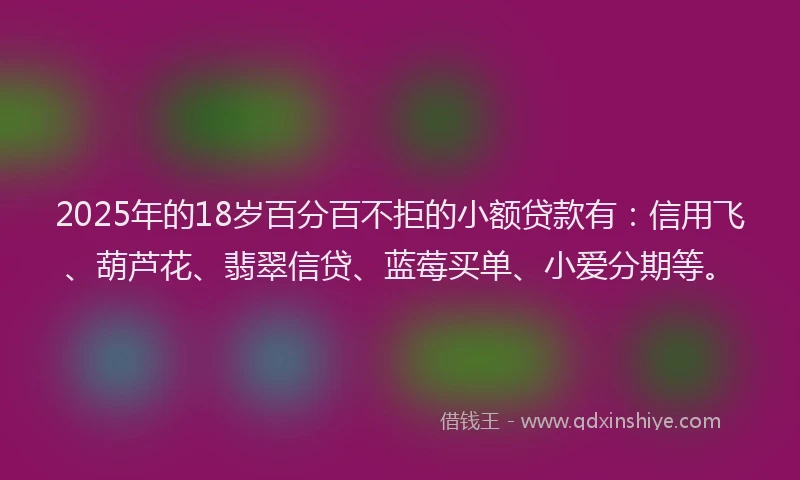 2025年的18岁百分百不拒的小额贷款有：信用飞、葫芦花、翡翠信贷、蓝莓买单、小爱分期等。