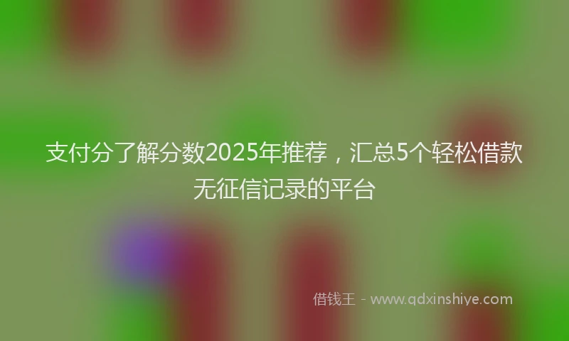 支付分了解分数2025年推荐，汇总5个轻松借款无征信记录的平台