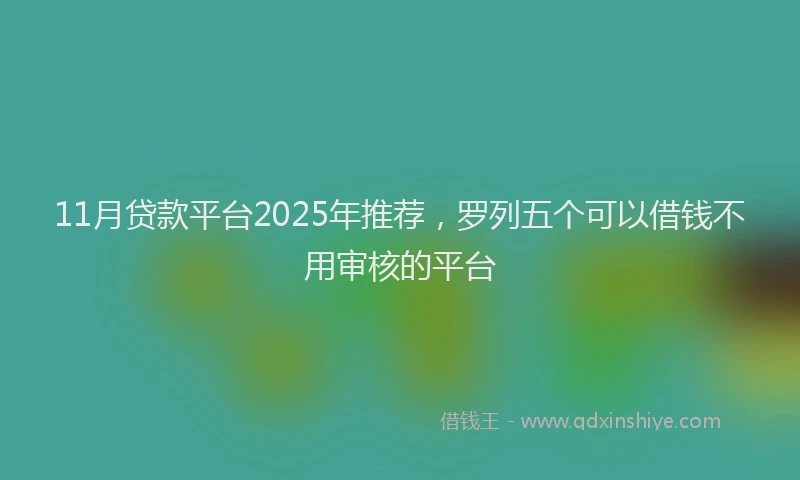 11月贷款平台2025年推荐，罗列五个可以借钱不用审核的平台