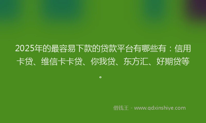 2025年的最容易下款的贷款平台有哪些有：信用卡贷、维信卡卡贷、你我贷、东方汇、好期贷等。