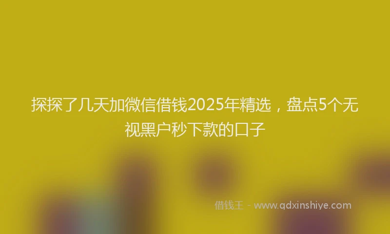 探探了几天加微信借钱2025年精选，盘点5个无视黑户秒下款的口子