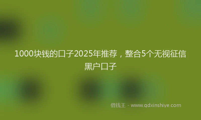 1000块钱的口子2025年推荐，整合5个无视征信黑户口子