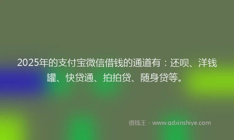 2025年的支付宝微信借钱的通道有：还呗、洋钱罐、快贷通、拍拍贷、随身贷等。