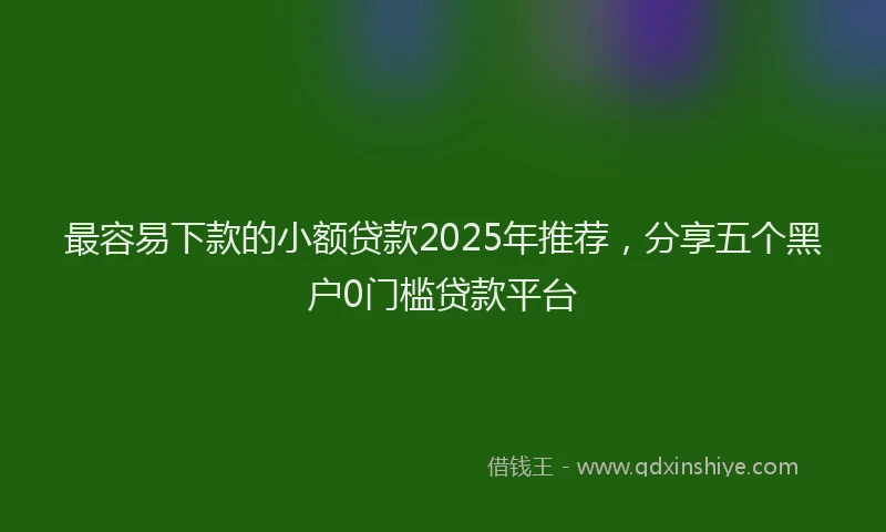 最容易下款的小额贷款2025年推荐，分享五个黑户0门槛贷款平台