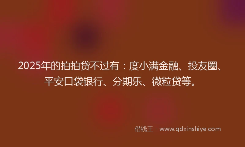 2025年的拍拍贷不过有：度小满金融、投友圈、平安口袋银行、分期乐、微粒贷等。