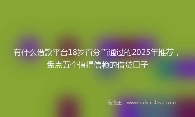 有什么借款平台18岁百分百通过的2025年推荐，盘点五个值得信赖的借贷口子