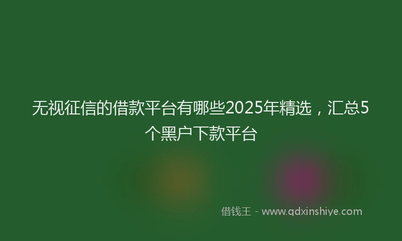 无视征信的借款平台有哪些2025年精选，汇总5个黑户下款平台