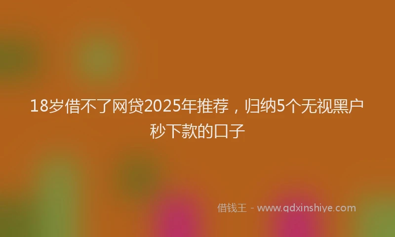 18岁借不了网贷2025年推荐,归纳5个无视黑户秒下款的口子