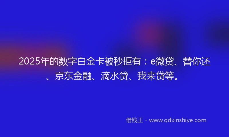 2025年的数字白金卡被秒拒有：e微贷、替你还、京东金融、滴水贷、我来贷等。