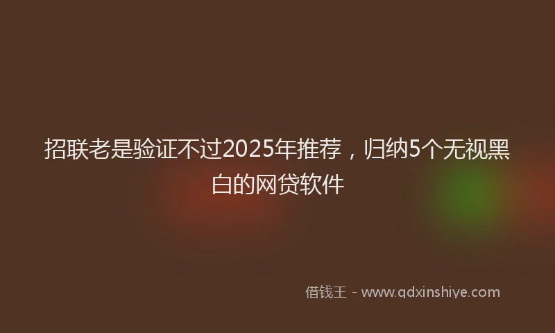 招联老是验证不过2025年推荐，归纳5个无视黑白的网贷软件