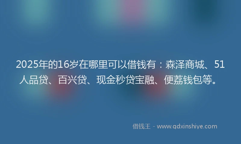 2025年的16岁在哪里可以借钱有：森泽商城、51人品贷、百兴贷、现金秒贷宝融、便荔钱包等。