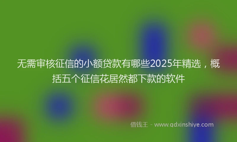 无需审核征信的小额贷款有哪些2025年精选，概括五个征信花居然都下款的软件