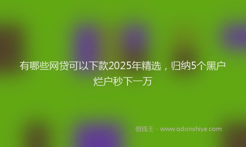 有哪些网贷可以下款2025年精选，归纳5个黑户烂户秒下一万