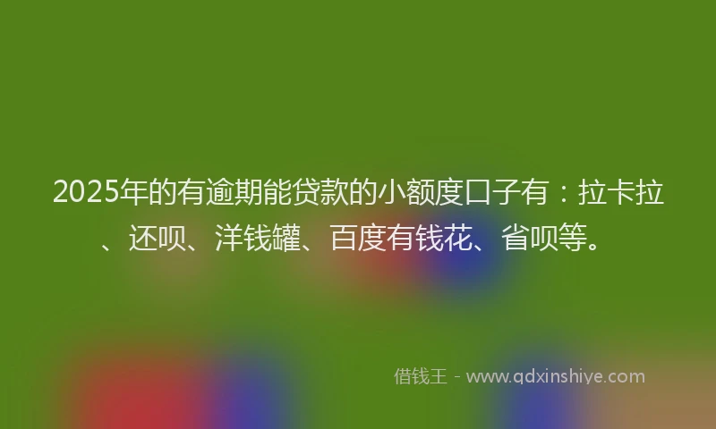 2025年的有逾期能贷款的小额度口子有：拉卡拉、还呗、洋钱罐、百度有钱花、省呗等。