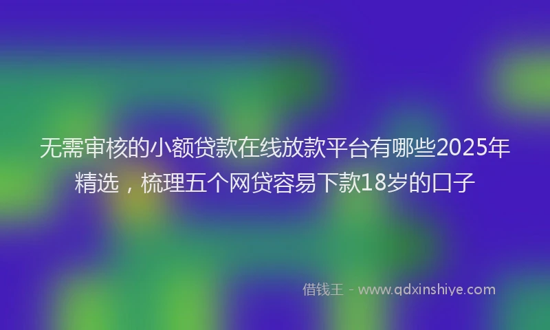 无需审核的小额贷款在线放款平台有哪些2025年精选，梳理五个网贷容易下款18岁的口子