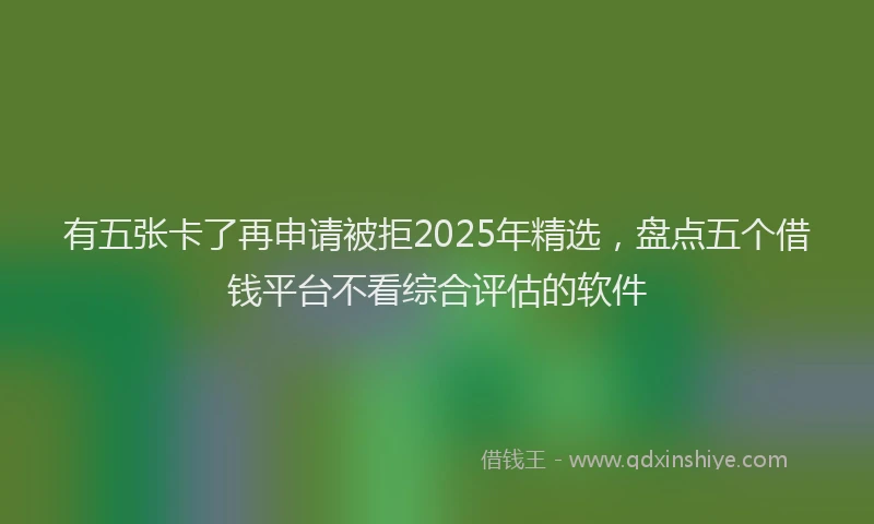 有五张卡了再申请被拒2025年精选，盘点五个借钱平台不看综合评估的软件