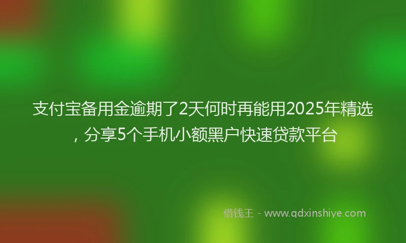 支付宝备用金逾期了2天何时再能用2025年精选，分享5个手机小额黑户快速贷款平台