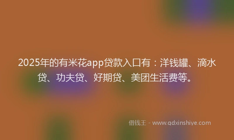2025年的有米花app贷款入口有：洋钱罐、滴水贷、功夫贷、好期贷、美团生活费等。