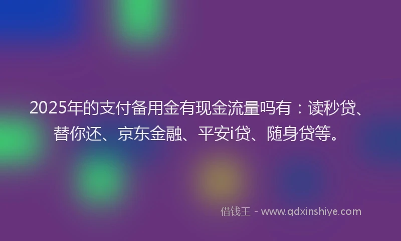 2025年的支付备用金有现金流量吗有：读秒贷、替你还、京东金融、平安i贷、随身贷等。