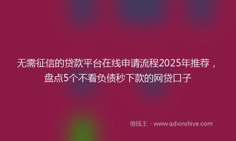 无需征信的贷款平台在线申请流程2025年推荐，盘点5个不看负债秒下款的网贷口子