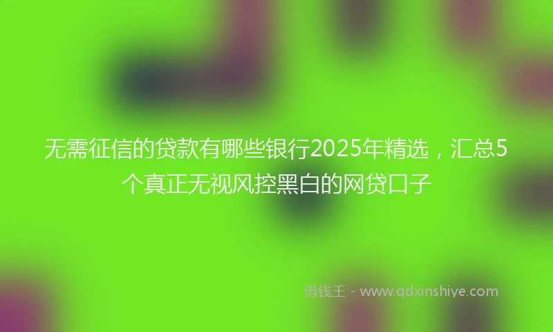 无需征信的贷款有哪些银行2025年精选，汇总5个真正无视风控黑白的网贷口子