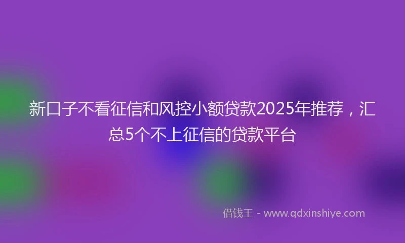 新口子不看征信和风控小额贷款2025年推荐，汇总5个不上征信的贷款平台
