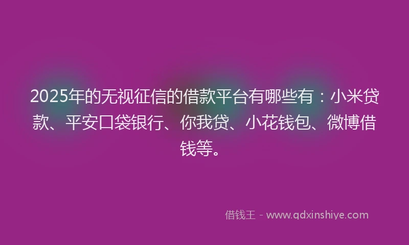 2025年的无视征信的借款平台有哪些有：小米贷款、平安口袋银行、你我贷、小花钱包、微博借钱等。