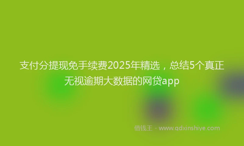 支付分提现免手续费2025年精选，总结5个真正无视逾期大数据的网贷app