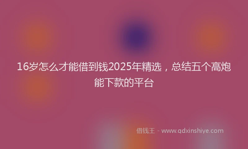 16岁怎么才能借到钱2025年精选，总结五个高炮能下款的平台