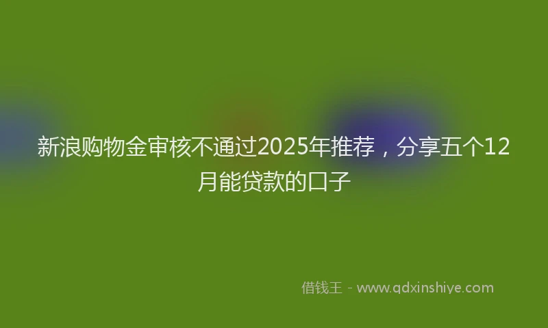 新浪购物金审核不通过2025年推荐，分享五个12月能贷款的口子