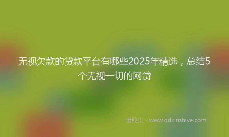 无视欠款的贷款平台有哪些2025年精选，总结5个无视一切的网贷