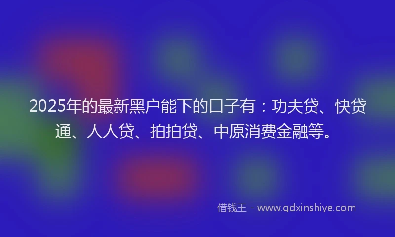 2025年的最新黑户能下的口子有：功夫贷、快贷通、人人贷、拍拍贷、中原消费金融等。