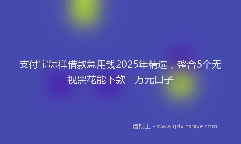 支付宝怎样借款急用钱2025年精选，整合5个无视黑花能下款一万元口子