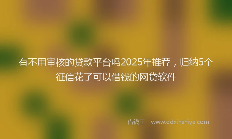 有不用审核的贷款平台吗2025年推荐，归纳5个征信花了可以借钱的网贷软件