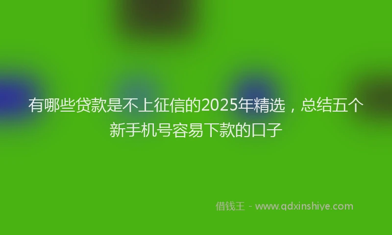 有哪些贷款是不上征信的2025年精选，总结五个新手机号容易下款的口子