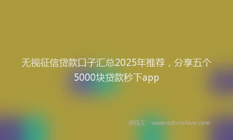 无视征信贷款口子汇总2025年推荐，分享五个5000块贷款秒下app