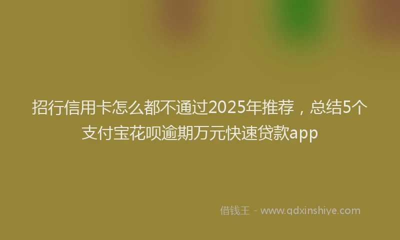 招行信用卡怎么都不通过2025年推荐，总结5个支付宝花呗逾期万元快速贷款app