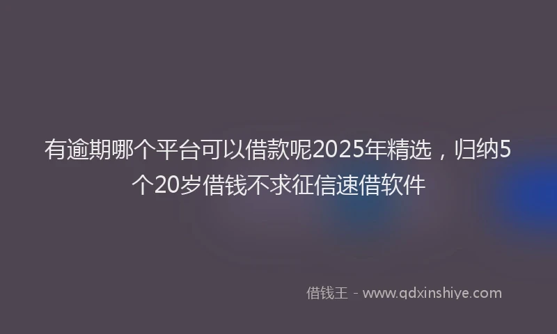 有逾期哪个平台可以借款呢2025年精选，归纳5个20岁借钱不求征信速借软件